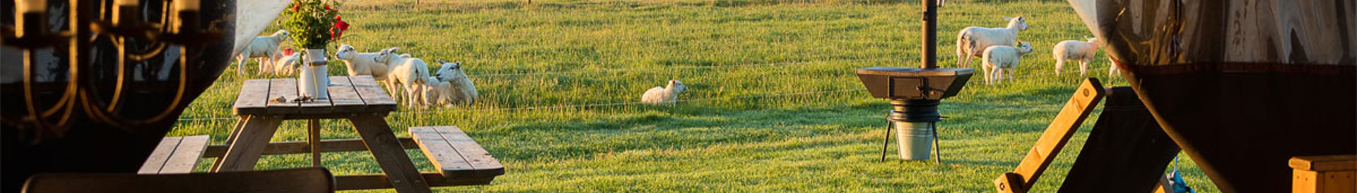 Campingplätze von WiesenBett in Niederlande