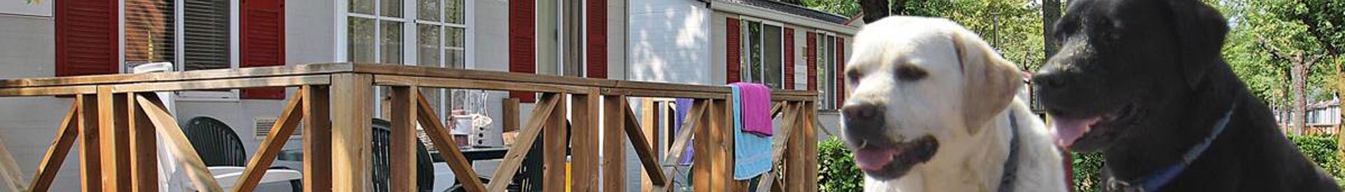 Camping mit Hund in Italien