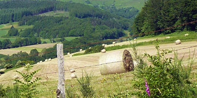 Grüne Campingplätze