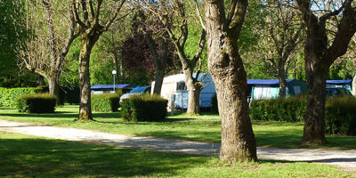 Top 10 klein und grün