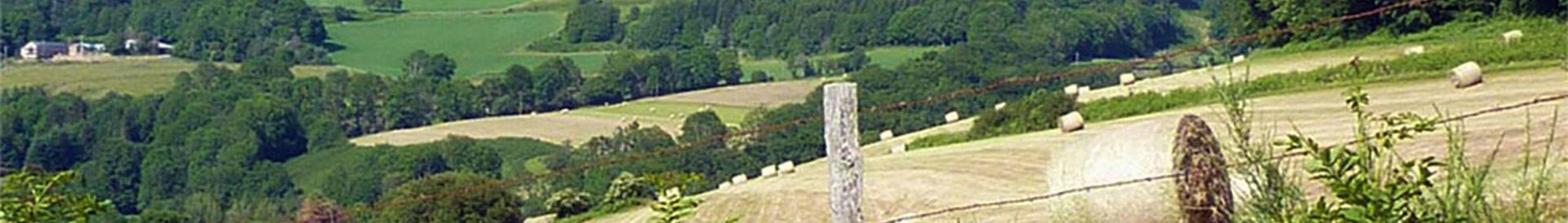 Grüne Campingplätze in Luxemburg